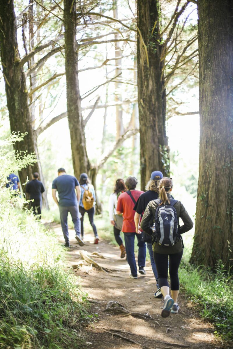 A group of people walking away along a dirt trail between tall trees on a sunny day